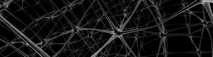Neurons network